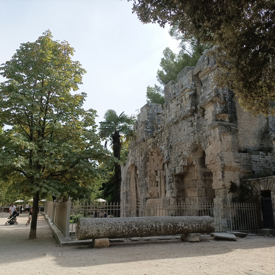 Geführte Tour durch Nîmes, Romain Bouchaud