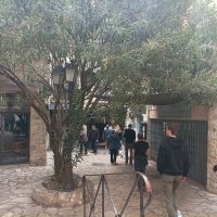 visita guiada en Narbona, Romain Bouchaud