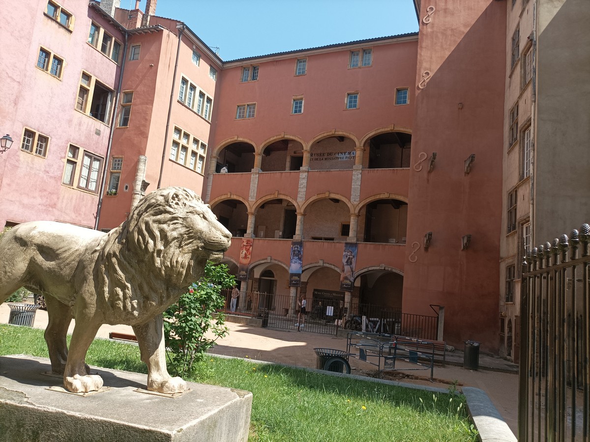 En este momento estás viendo Visita Lyon