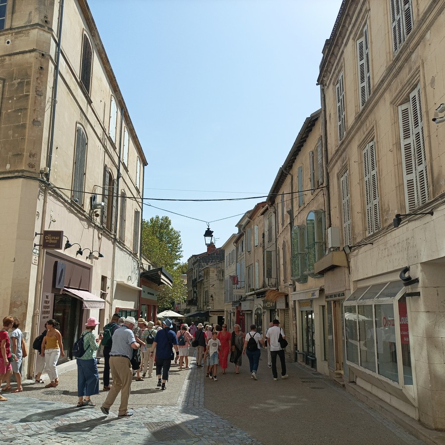 Geführte Tour durch Arles, Romain Bouchaud