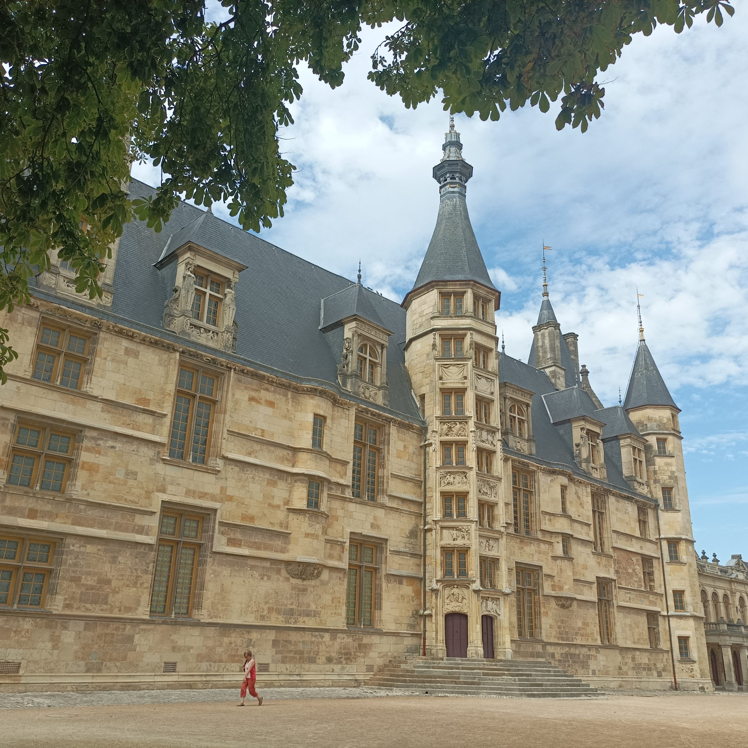 Guía turístico en Nevers, Romain Bouchaud