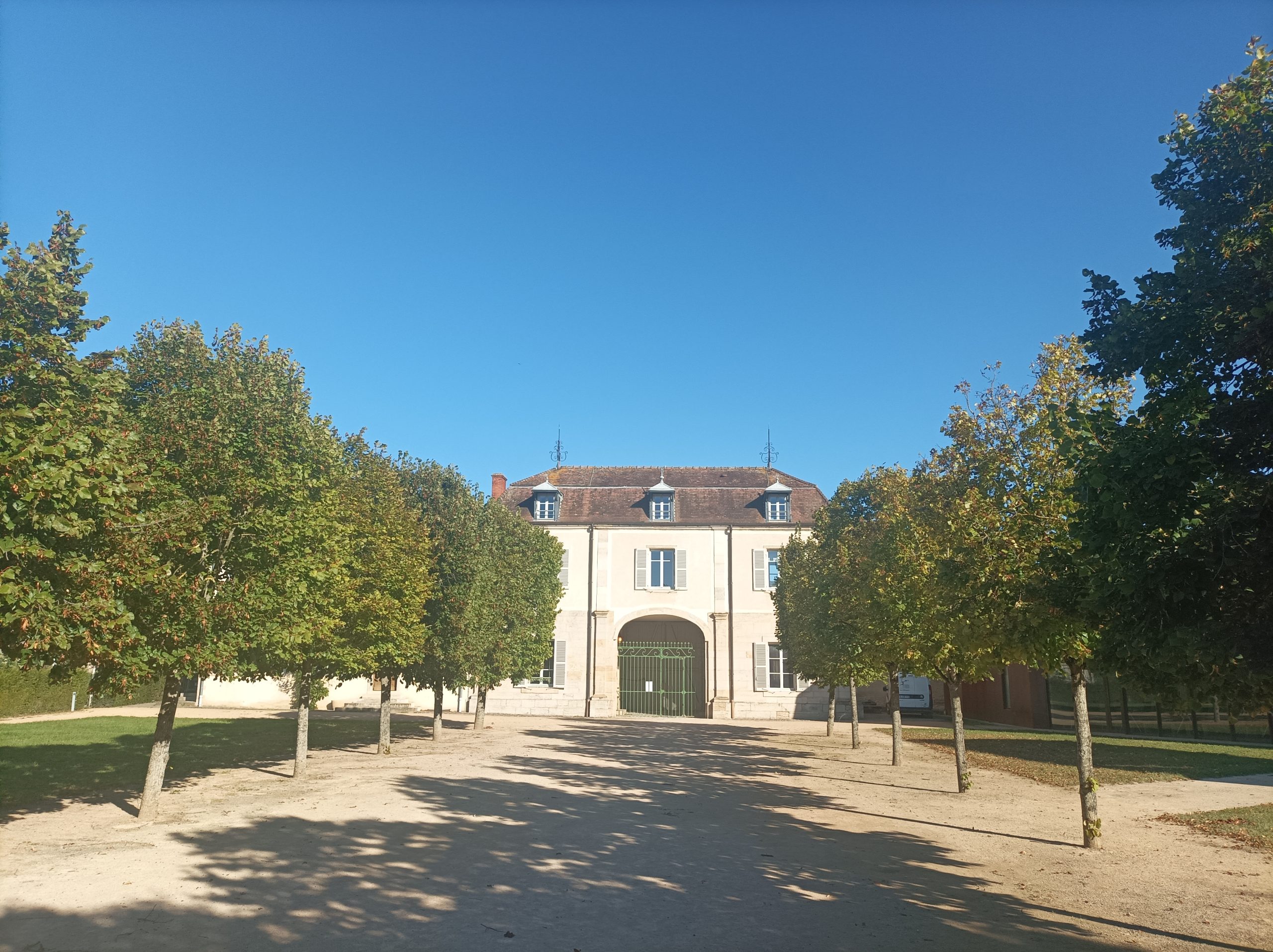 Führung durch Cluny, Romain Bouchaud