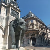 Chambéry Tour guide, Romain Bouchaud