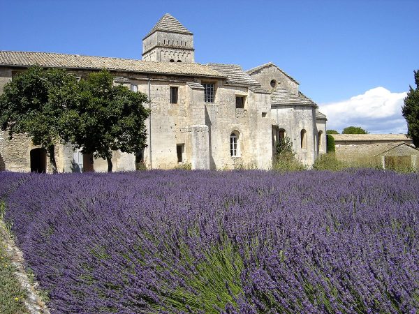 Führung in Saint-Rémy-de-Provence