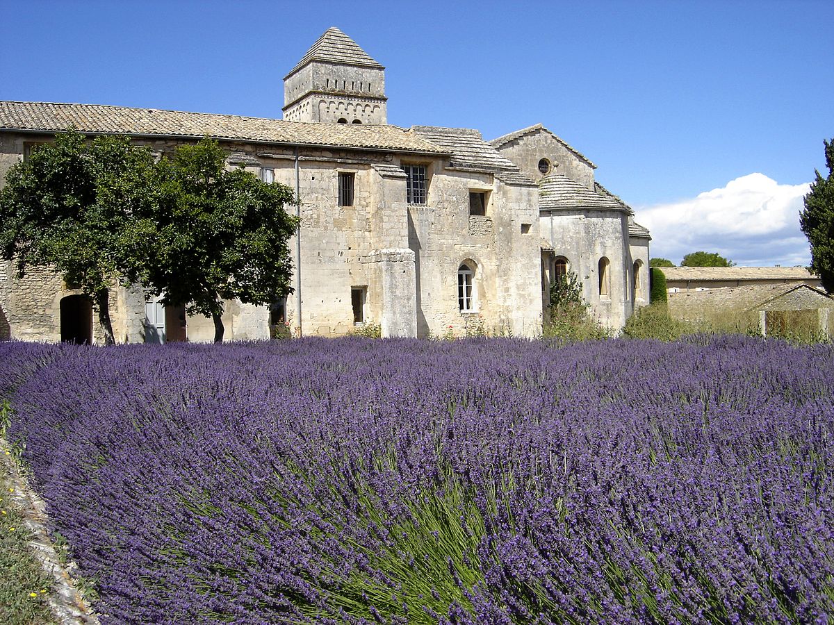 Guided tour in Saint-Rémy-de-Provence