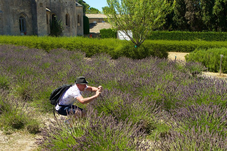 Guided tour in Saint-Rémy-de-Provence, Romain Bouchaud