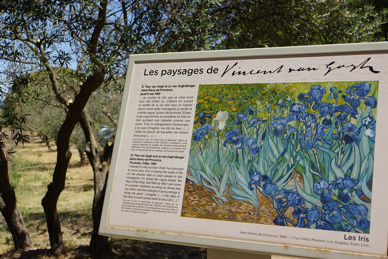 Reiseleiter in Saint-Rémy-de-Provence – Bild 12