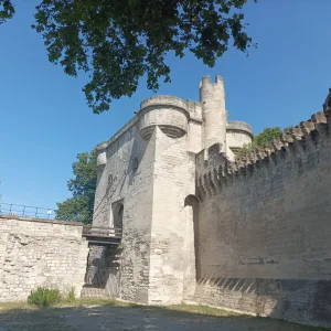 Tour to Avignon and Pont du Gard – 8 hours