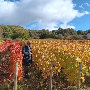 Wine tour from Mâcon
