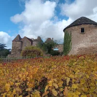 Visit Burgundy