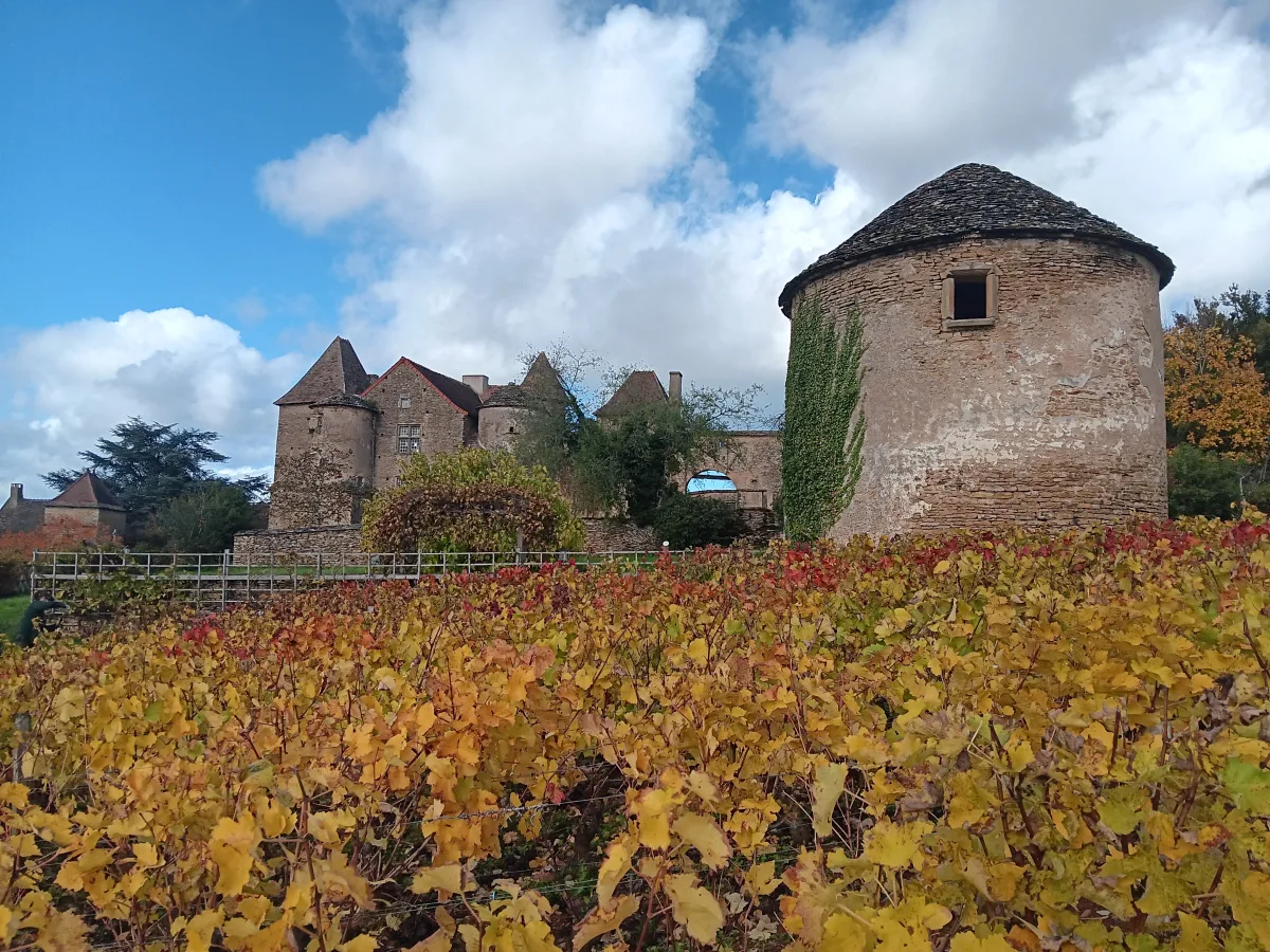 You are currently viewing Visit Burgundy