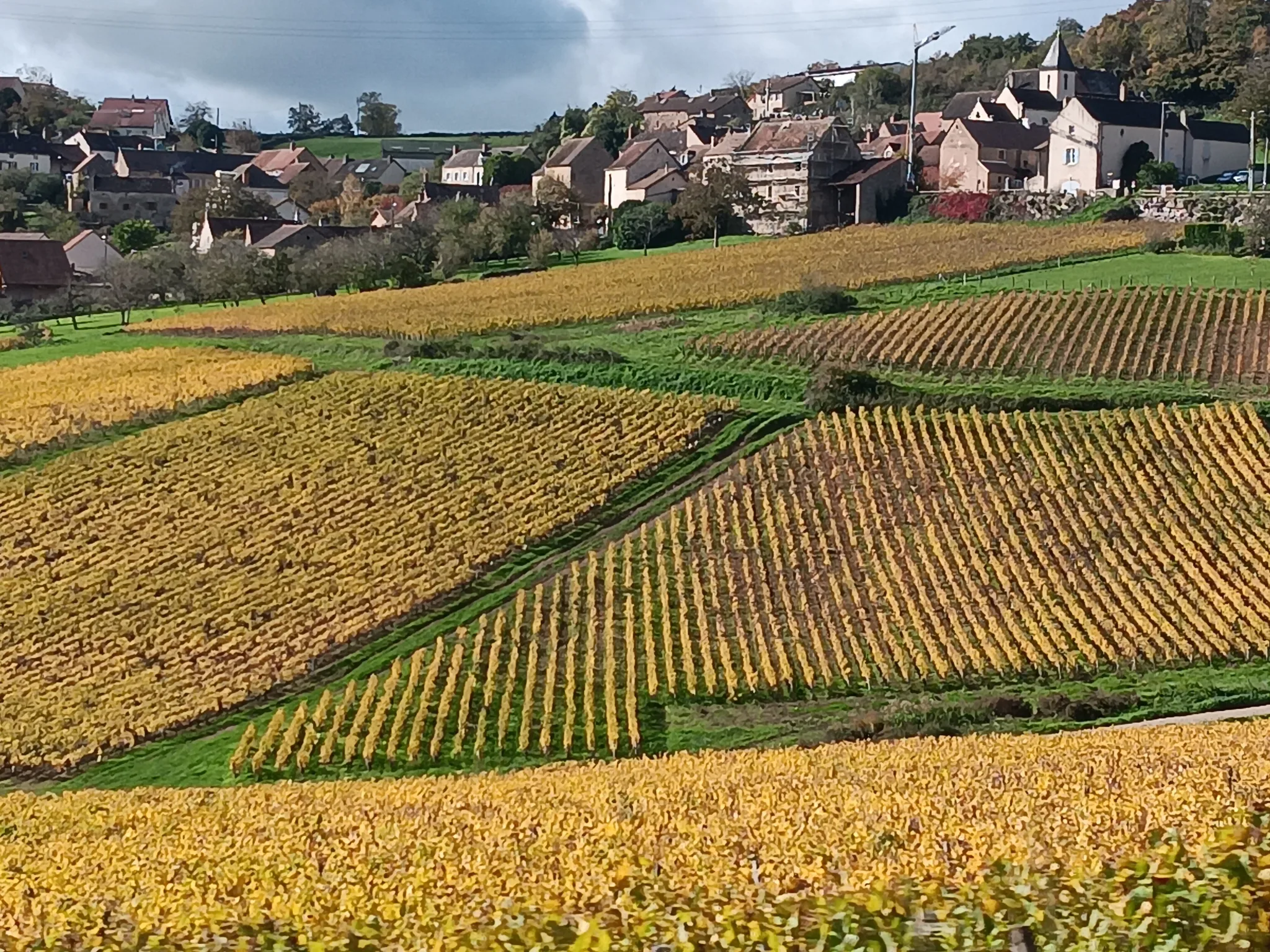 Wine tour on the Côte Chalonnaise, Romain Bouchaud