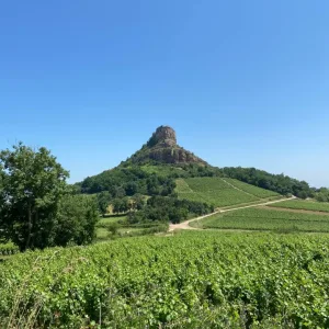 Wine tour from Mâcon