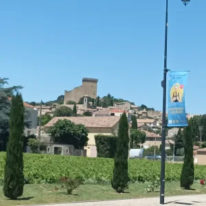 Wine tour in Châteauneuf-du-Pape – 4 hours
