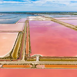 Private tour in Camargue – 8 hours