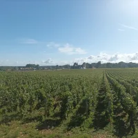 The route des Grands Crus