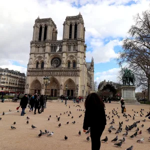 Führung durch Notre-Dame – 2 Stunden