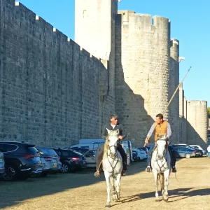 Guided tour of Aigues-Mortes – 2 hours