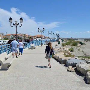 Private tour in Camargue – 8 hours