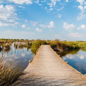Private tour in Camargue – 8 hours