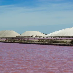 Private tour in Camargue – 8 hours