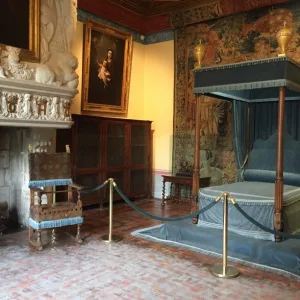 Guided tour of the Château de Chenonceau – 2 hours