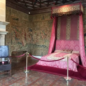 Guided tour of the Château de Chenonceau – 2 hours